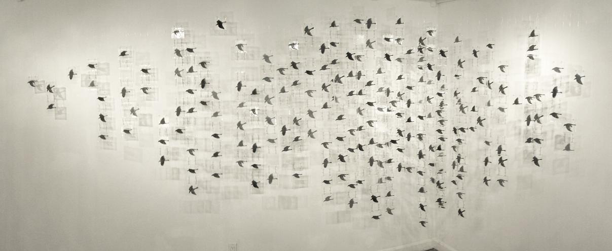 Fly By; Installation Loop Gallery; Screen-printed and fused glass, wire; Installation approx. 7'h x 18'w x 2.5'd; 2009