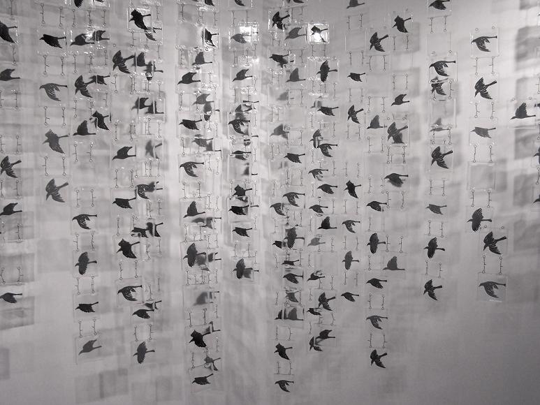 Fly By (detail) ; Screen-printed and fused glass, wire; Installation approx. 7'h x 18'w x 2.5'd; 2009